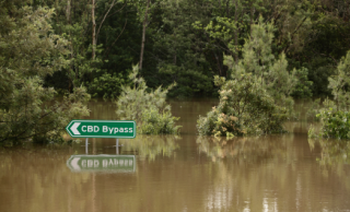 Dealing with a natural disaster: A small business how to guide